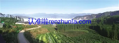 中国彝红茶、中国彝黄茶、中国彝黑茶-彝茶团体标准-认准执行标准来严选质量更高的产品